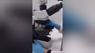 Urinanalysis Part 2 Learn urine microscopy in 5 minuteslaboratory mltclasses [upl. by Paddie]