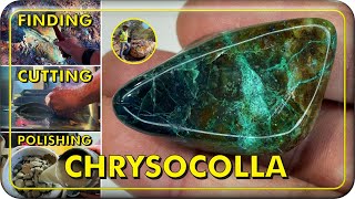 Finding Cutting and Polishing Chrysocolla [upl. by Avrom263]