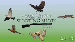 Wood pigeon Shooting Uk Shotkam with Sporting Shots [upl. by Farrand40]