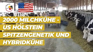 2000 Milchkühe  USHolstein Spitzengenetik und Hybridkühe  unser Video zur EuroTier aus den USA [upl. by Aihtnyc607]