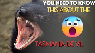 Facts about Tasmanian Devil [upl. by Sissie524]