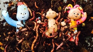 IGGLE PIGGLE UPSY DAISY And Makka Pakka Worms and Compost [upl. by Breed487]