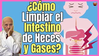 🔴 ¿CÓMO LIMPIAR EL INTESTINO DE HECES Y GASES NATURALMENTE 🔴 [upl. by Rusert977]