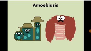 Entamoeba histolytica Amoebiasis الأميبا  الدوسنتاريا [upl. by Netsoj]