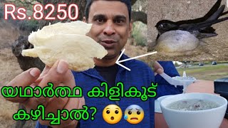 🐣 യഥാർത്ഥ കിളിക്കൂട് കഴിച്ചാൽ  😯😱  How to make recipe with real Swiftlet bird nest [upl. by Seabrooke913]