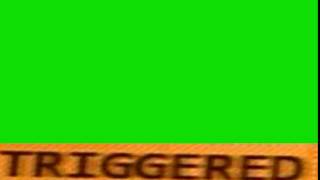 Triggered Video Effect Green Screen With Sound NO COPYRIGHT [upl. by Dareen853]