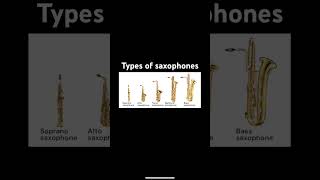 Types of saxophones saxophone epicsaxguy [upl. by Hctim]