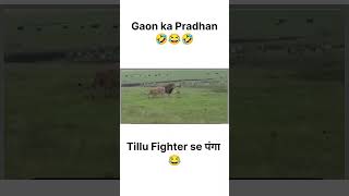 Gaon Ka Pradhan😂ytshort yt viralvideo viralvideos viralshorts viralshort funny memes [upl. by Sheffy708]