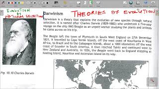 GRADE 12 LIFE SCIENCES THEORIES OF EVOLUTION [upl. by Nobe38]