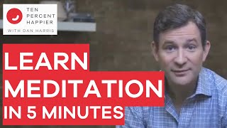 Learn Meditation in 5 Minutes with Dan Harris [upl. by Egdamlat6]