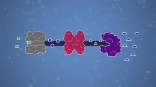 Enzymes Feedback Inhibition and Allosteric Regulation [upl. by Nerra]