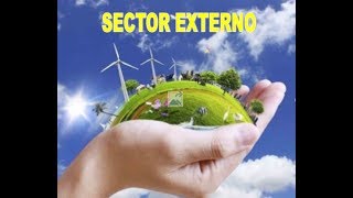 Sector Externo  economía [upl. by Dutchman831]