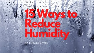 15 Ways to Reduce Humidity in Your House [upl. by Jaime]