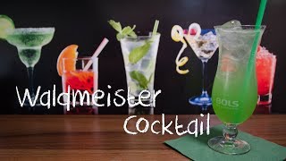 Waldmeister Cocktail  Die Gin Waldmeister Limonade [upl. by Willie79]