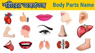 Body Parts Name in bengali to english  শরীরের বিভিন্ন অঙ্গের নাম  Human Body Parts [upl. by Animor784]