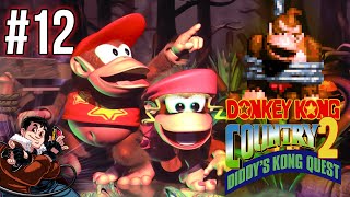 Velberan vs Donkey Kong Country 2 12 [upl. by Christopher]