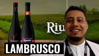 LAMBRUSCO 🍷🇮🇹  RESEÑA [upl. by Schaper]