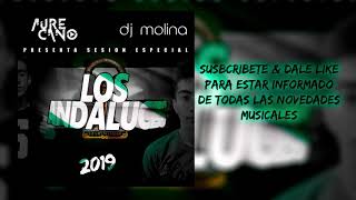 16  Sesion Los Andaluces 2019 Dj Molina amp Aure Cano Dj Flamenco Rumbatón [upl. by Carpet]