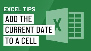 Excel Quick Tip Add the Current Date to a Cell [upl. by Gwen42]