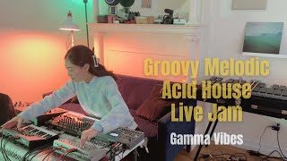 Gamma Vibes  Groovy Melodic Acid House Dawless Live Jam [upl. by Rramaj]