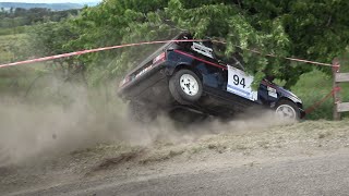 Rallye des Monts de Vaucluse 2023  CRASHES amp MISTAKES [upl. by Agn]