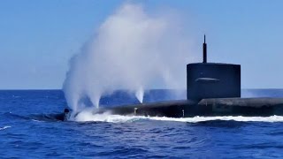 Dolphins Swimming With Nuclear Submarine USS Pennsylvania SSBN 735 [upl. by Niemad]