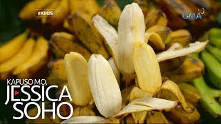 Kapuso Mo Jessica Soho Aba aba saging na saba [upl. by Aleehs]