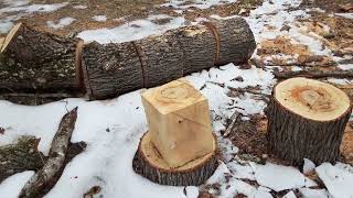 Splitting a huge Gum tree for fire wood how easy should it be [upl. by Acsot]