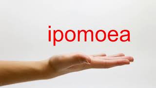 How to Pronounce ipomoea  American English [upl. by Josiah]