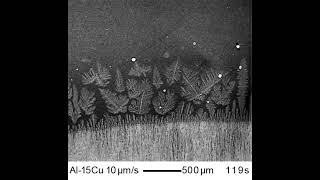 Nucleation and fragmentation of dendrites in AlCu [upl. by Gehlbach]