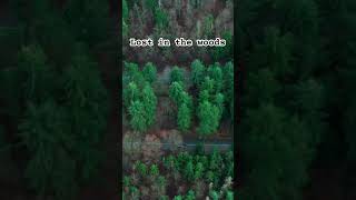 Lost in the Woods satysfying ytshorts shorts nature [upl. by Ecinreb175]