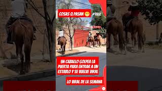 Caballo se hace viral 🐎humor risa viralvideo argentina [upl. by Enamrej44]