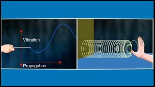 Transverse Waves ⚡3d animation  Class 9 physics [upl. by Acinomaj]