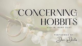 Concerning Hobbits  violin harp duet [upl. by Dmitri]