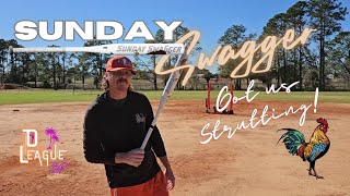 The DeMarini Sunday Swagger A Slowpitch Softball Senior SSUSA Bat Review [upl. by Tereve156]