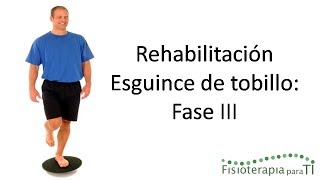 Esguince de tobillo Ejercicios propioceptivos Rehabilitación Fase III  Fisioterapia para TI [upl. by Allehcim]