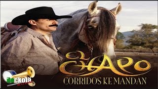 El Chapo de Sinaloa  Corridos ke Mandan  ALBUM [upl. by Bruce]