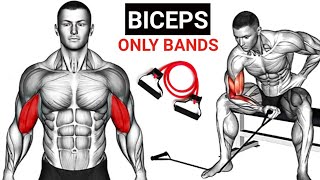 Resistance band biceps workout  Build Arms with bands [upl. by Dickey]