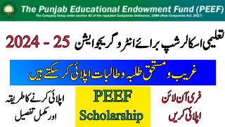 Punjab Scholarship Program 202425  How To Get PEEF Scholarship  Career Boom [upl. by Aylmar653]