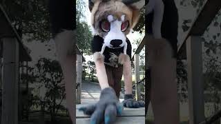 Vellinge blommans garden furry shots fursuiting [upl. by Eedya778]