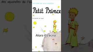 Le Petit Prince 010 [upl. by Rech]