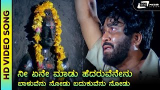 Nee Yene Maadu  HD Video  Sad song  Thayiya Nudi  Kalyankumar  SPB  Sathyam [upl. by Barby535]