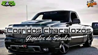 🔵los gemelos de Sinaloa mix corridos chacolozos 2022🔥 [upl. by Philps]