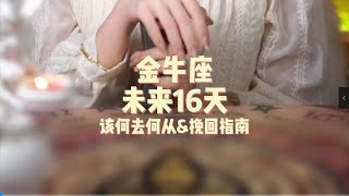 金牛座，未来16天，该何去何从amp挽回指南 [upl. by Toms]