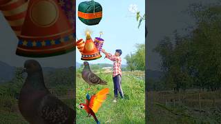 Tota kabutar more and Hans vfx short  video [upl. by Terrence]