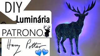 DIY  Luminária Patrono Harry Potter  Eduardo Wizard [upl. by Dranyam36]