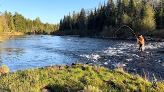 Fly Fishing a Remote Maine River [upl. by Odranreb]