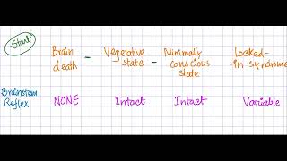 Brainstem death vs Vegetative state vs minimally conscious state vs Lockedin syndrome [upl. by North]