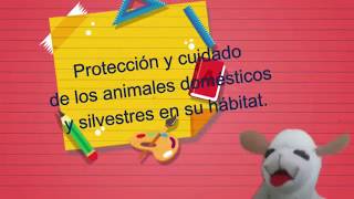 Protección y cuidado de los animales domésticos y silvestres en su hábitat [upl. by Honniball299]