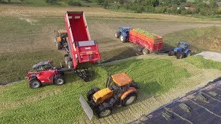 Tassage DEnsilage De Maïs Au Silo  Renault amp New Holland amp Manitou [upl. by Ettesil367]